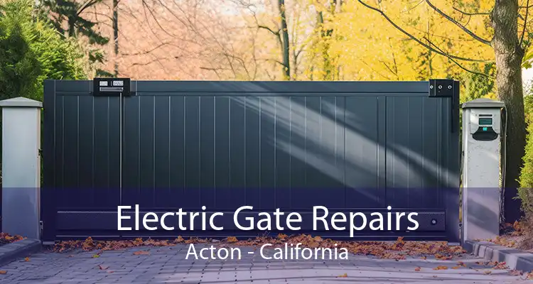 Electric Gate Repairs Acton - California