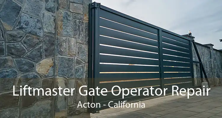 Liftmaster Gate Operator Repair Acton - California