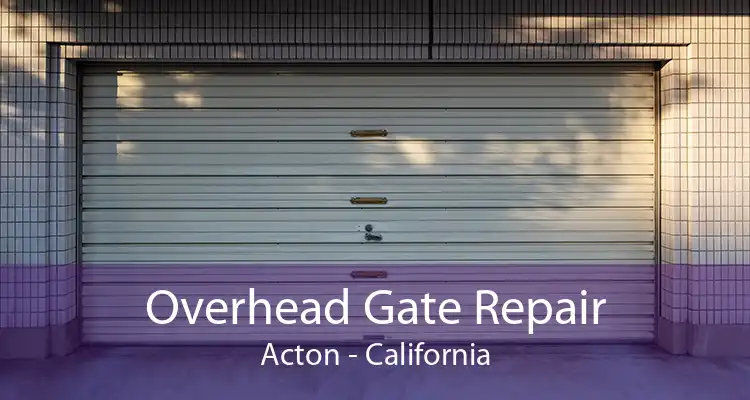 Overhead Gate Repair Acton - California