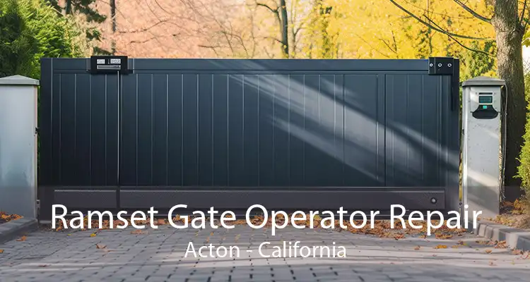 Ramset Gate Operator Repair Acton - California